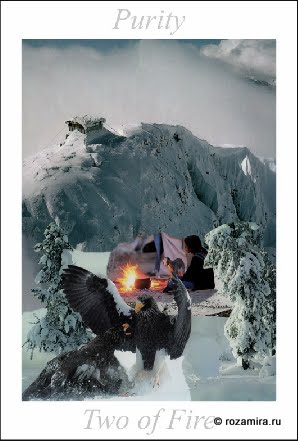 Nature Tarot by Jan Strube